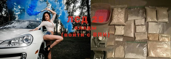 стафф Алзамай
