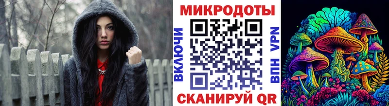 Псилоцибиновые грибы Psilocybe  Нея 